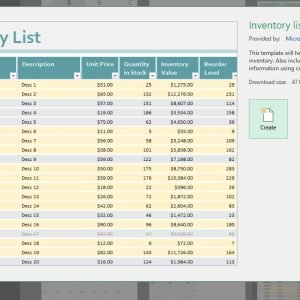 Microsoft Excel Beginner and Advanced all-in-one