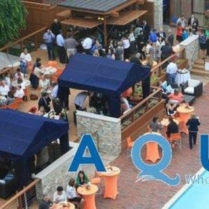 Networking Summer Event Series @ Aqua-Providence Tues/June 11